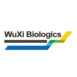 Stock WXXWY logo